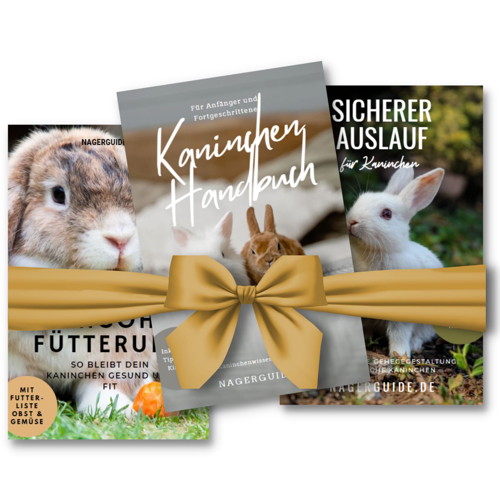 Was Dürfen Kaninchen Fressen Und Was Nicht Liste Was dürfen Kaninchen nicht fressen? | nagerguide.de